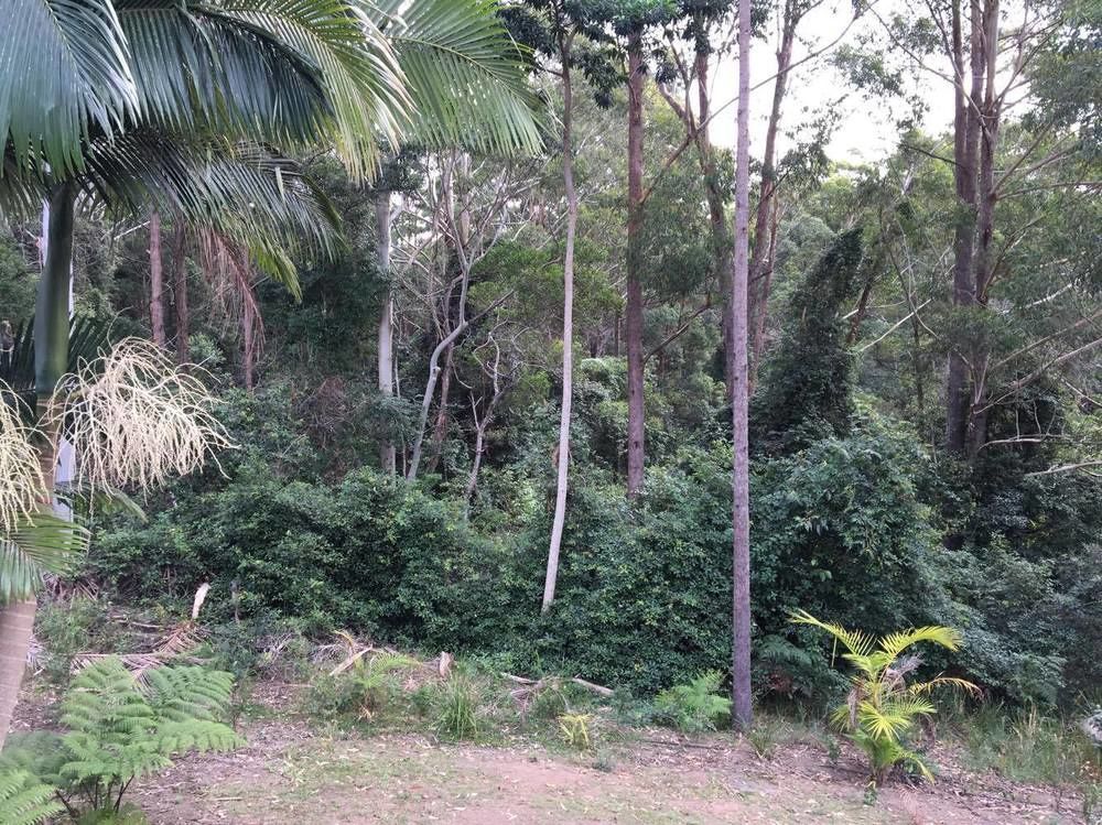 Mapleton Cabins & Caravan Park Esterno foto